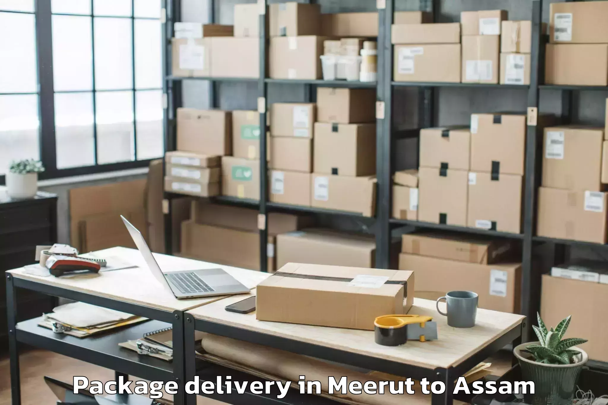 Professional Meerut to Dhubri Package Delivery